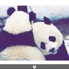_nuqlk4m