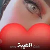 zozaahmed3571