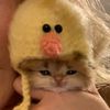 justasillyduckling