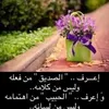 mohammedali1150