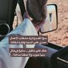 abeedd5