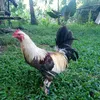je.ar.alejado