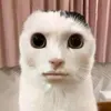 samyuiu