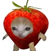 minty_cutiepie