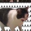 aesoppsao3