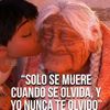 marynavarrete811
