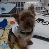 dyq26txl7nns