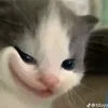nqqqqqq1