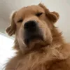 created.for.nothing