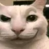 mememaster84