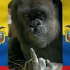 ecuaorangutan