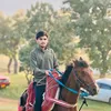 dlzartahsin