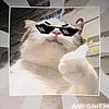 sanzyzx_8