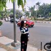 wullanzcs_4