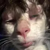cugxogcvphccu