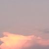 dlpk249