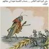 elmirimbarak