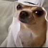 milky.waychik