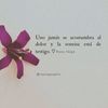 hernandezfabi568