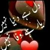 afg_izat_gul
