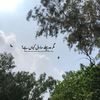 alenkhan10