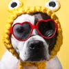 funnydogs_2022