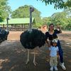 johana20141