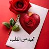 dyv7bzhx36q9