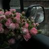 _rsii11