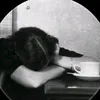 krw_a0