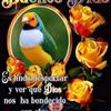 elvarojascontrera