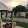 tala22__