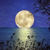 xiromant_vahid