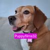 puppyfilms32