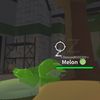 melon.pup