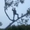 welldantoday