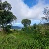 kamunanya_202013