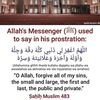 halalsaeed94