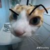 ggg_gina10