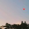 josesin074_