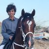 ﮼فارس الهلالي🐎