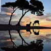 rawanedabbas