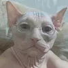 wibuda