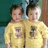 nhungmap856