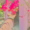 shafayatchowdhury1611