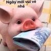 user212613142657