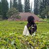 wulandri_07