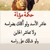 hussam6628