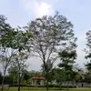 co4la679