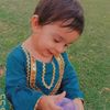 awaiskhurram7869900gmai4